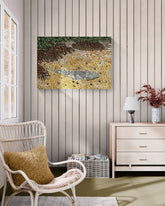 Flathead in the Mangroves