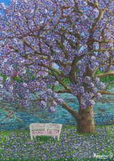 Jacaranda Tree