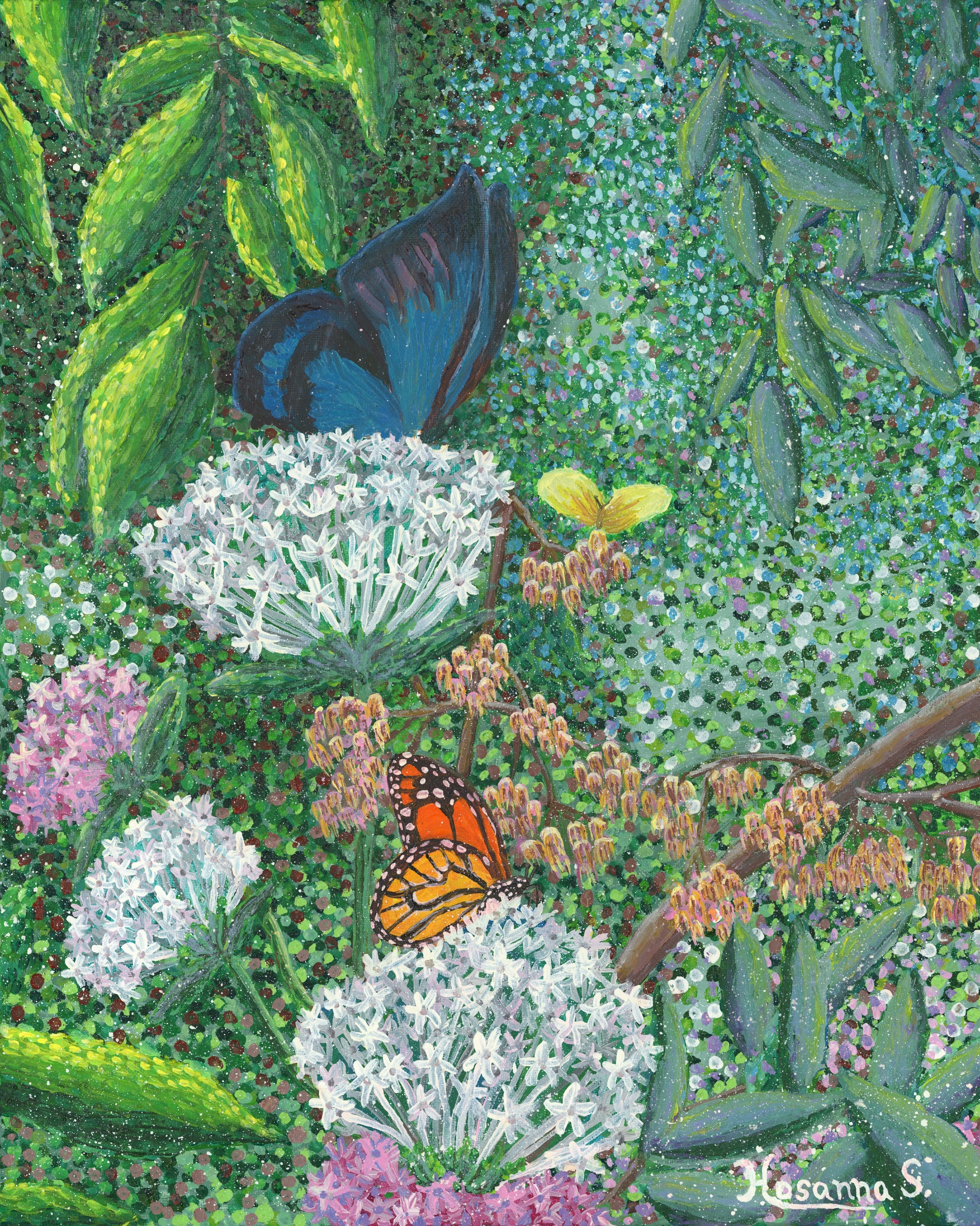 Butterflies in the Forest