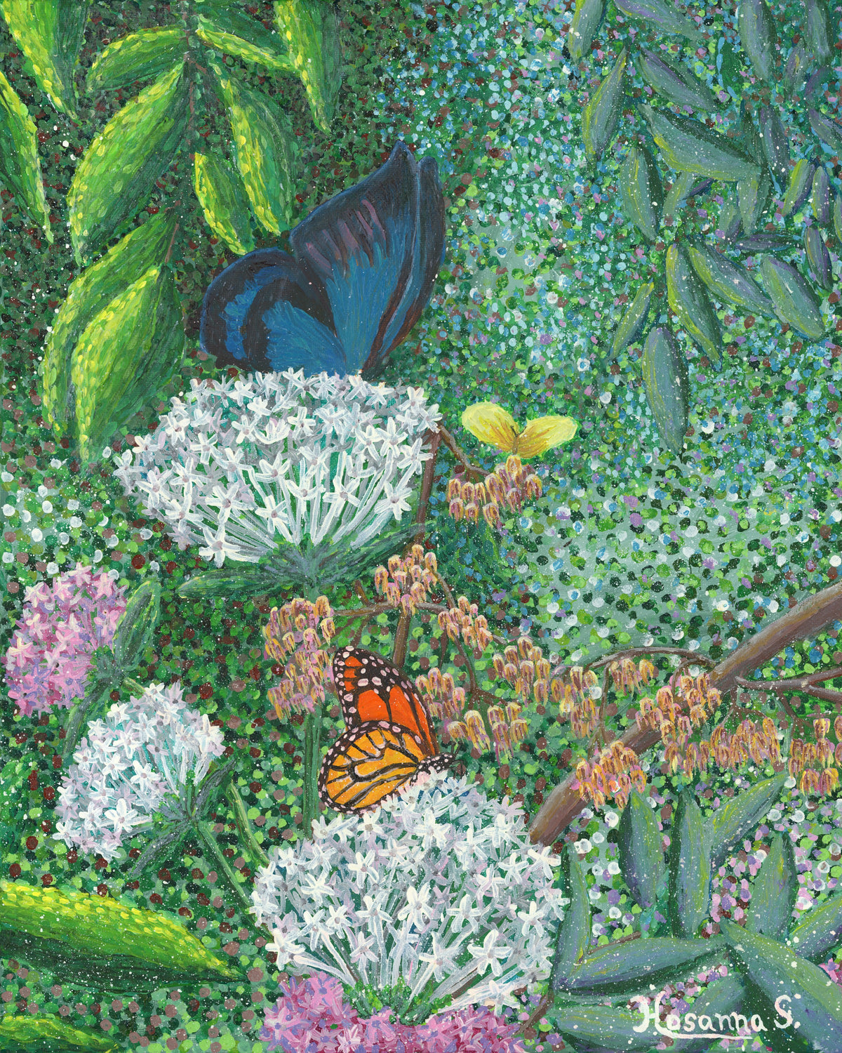 Butterflies in the Forest