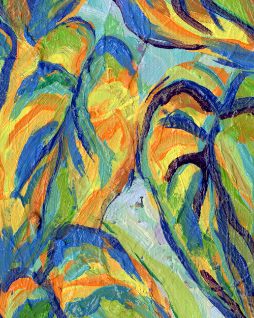 Philodendrons in the sun