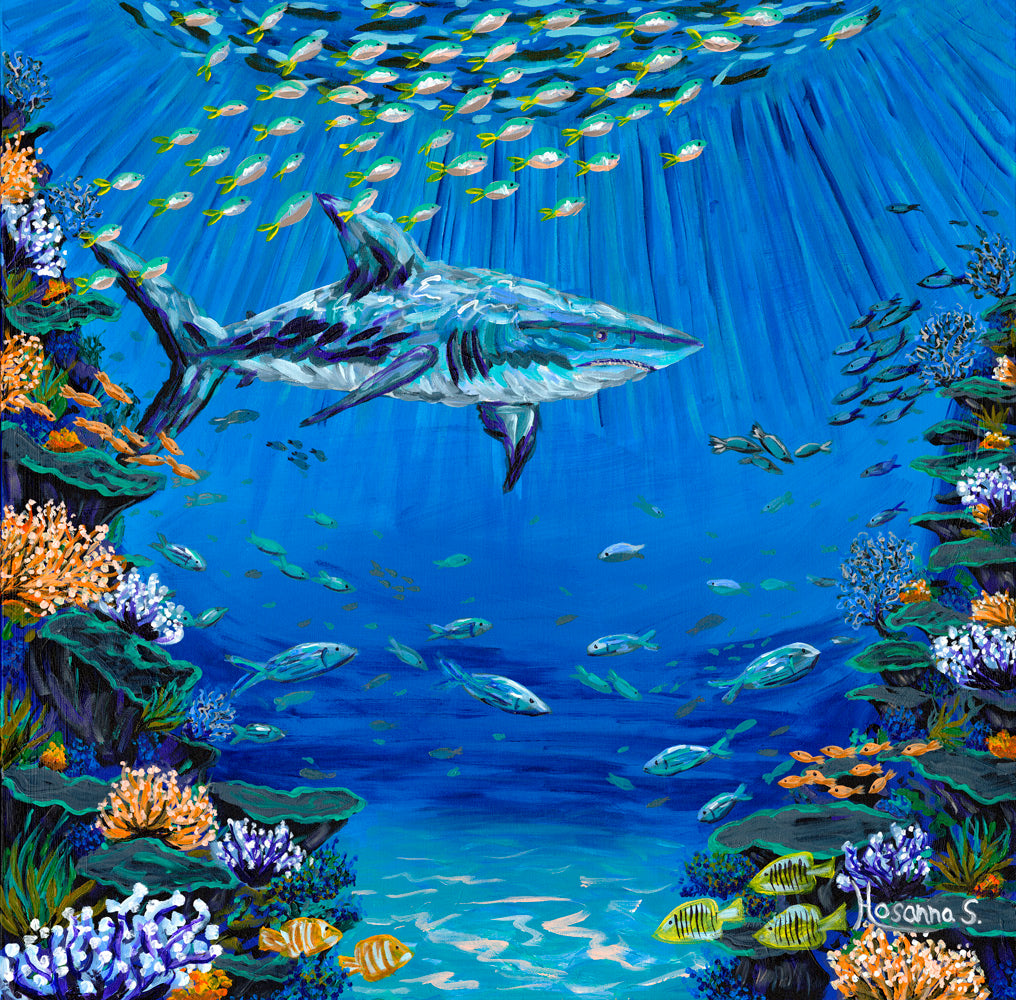 Shark in the Reef
