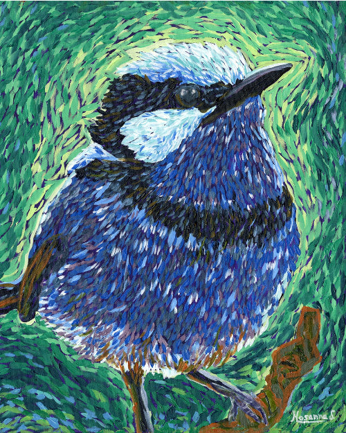 Superb Fairy Wren (Original Oil Painting)